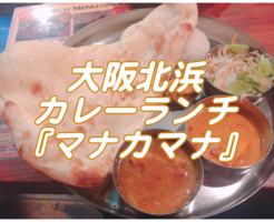 大阪北浜のネパール料理『マナカマナ』 僕が行ったカレーランチ名店