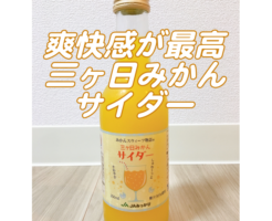静岡県産の三ヶ日みかんサイダーを飲んでみた！他の特産品も紹介！アイキャッチ